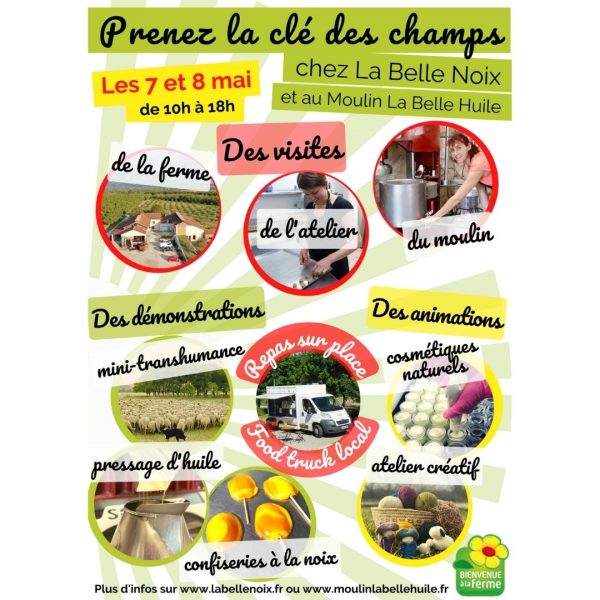 Prenez la clé des champs… de noyers !