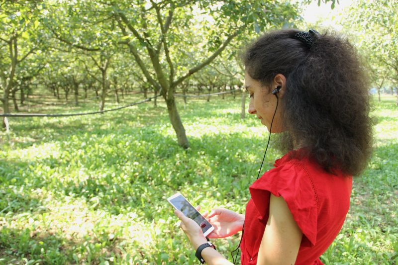 Nouveau ! Découvrez tout le travail de la Noix de Grenoble grâce à nos visites audio-guidées !